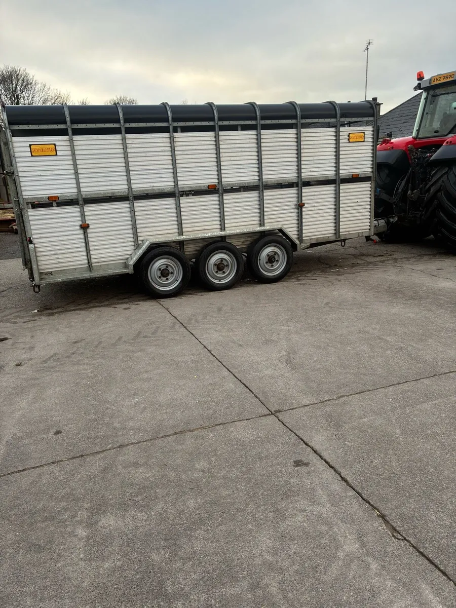 16ft potter cattle trailer - Image 3