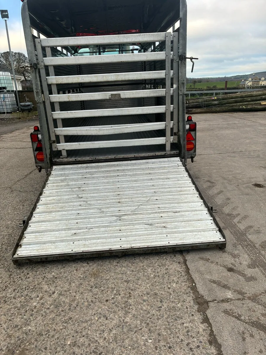 16ft potter cattle trailer - Image 4