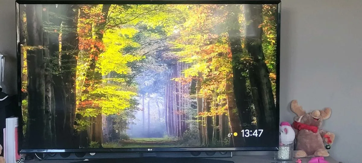 LG  55 inch smart TV - Image 1