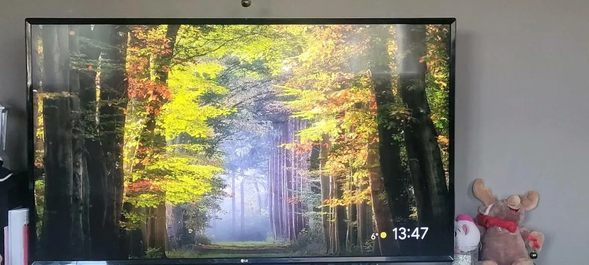 LG  55 inch smart TV - Image 2