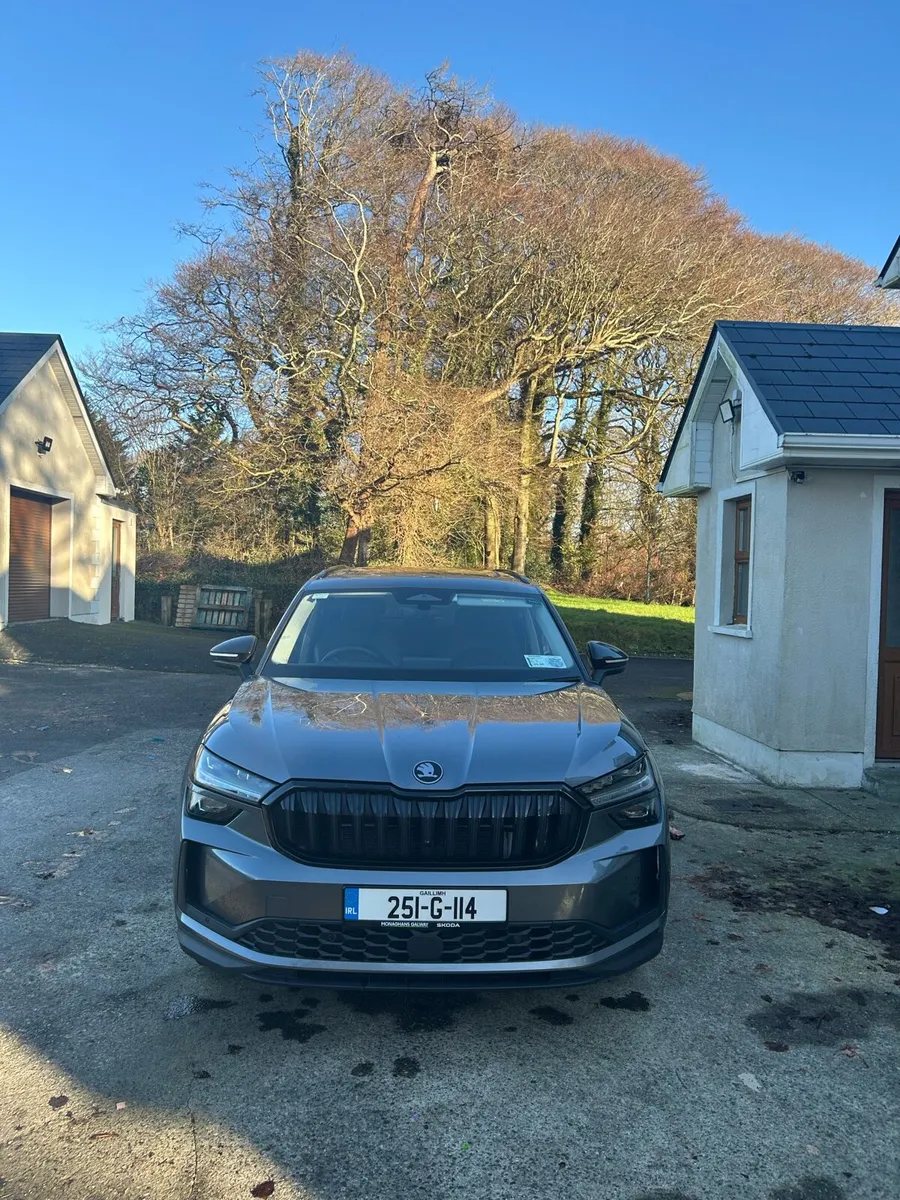 Skoda kodiaq - Image 3