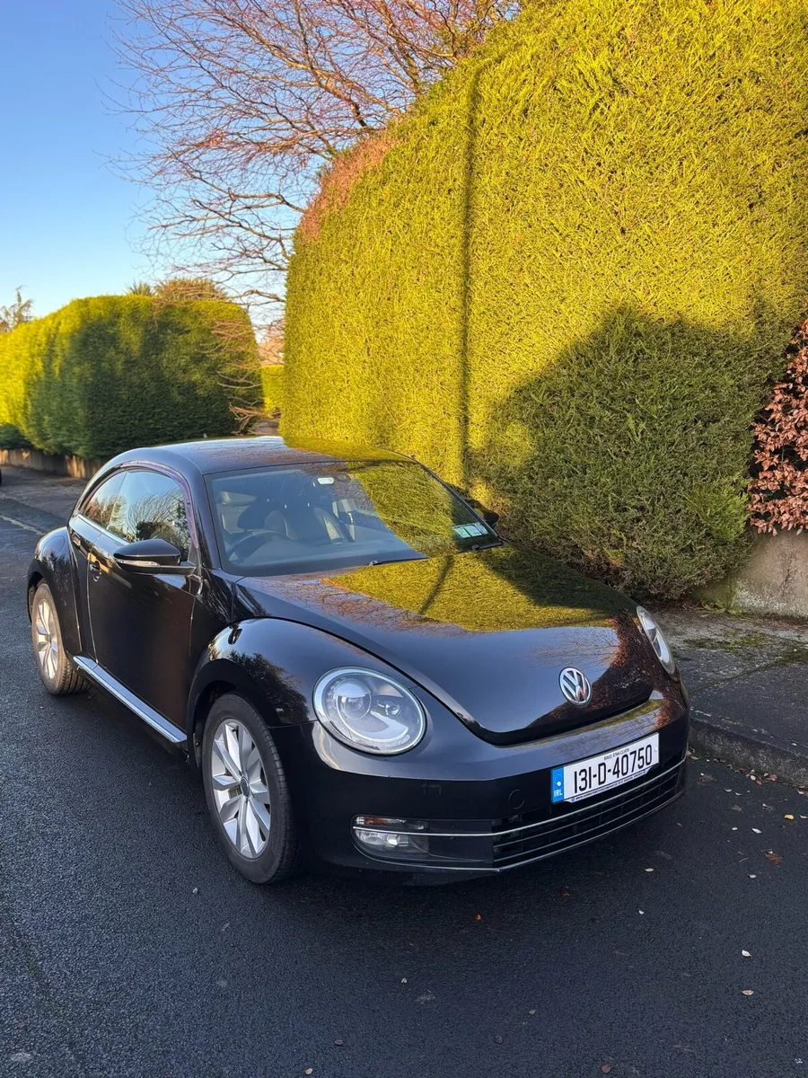Volkswagen Beetle - Image 4