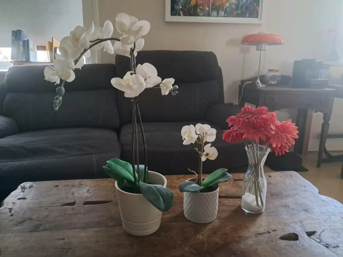 Imitation plants - Image 1