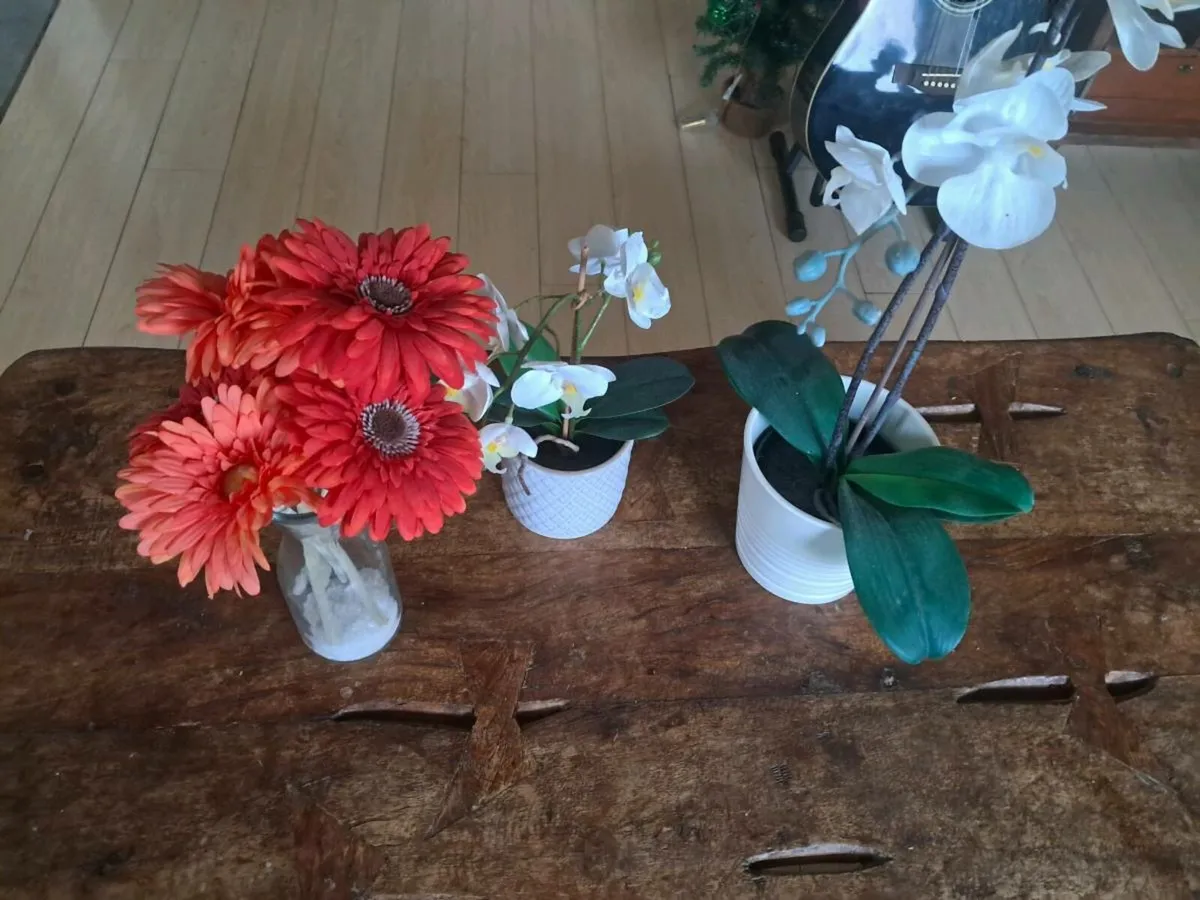 Imitation plants - Image 2