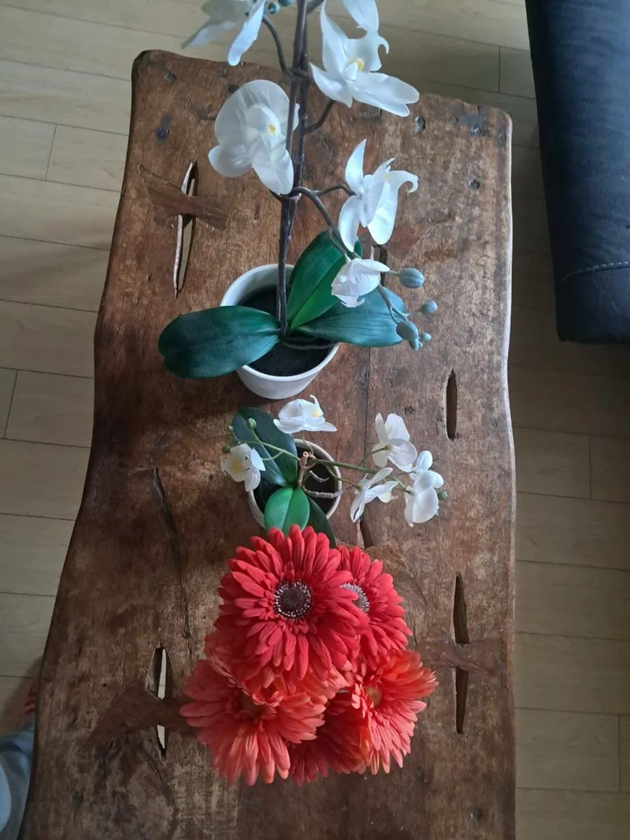 Imitation plants - Image 4