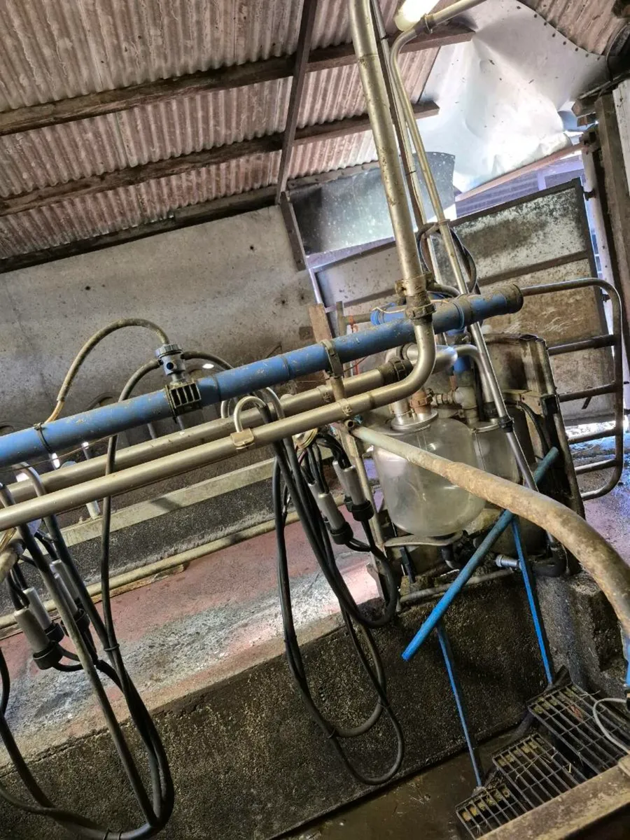 Milking machine - Image 2