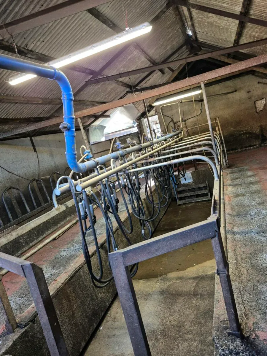 Milking machine - Image 3