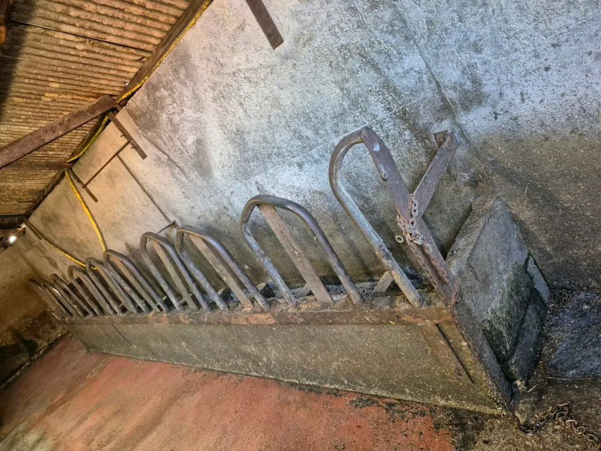 Milking machine - Image 4