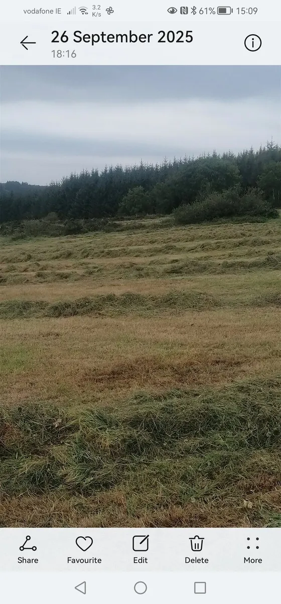 Bales of silage - Image 2