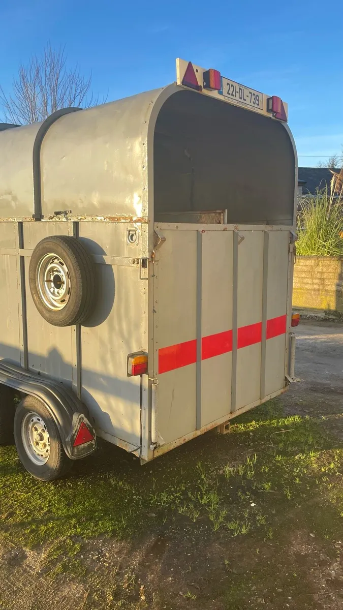 Rice Horse box - Image 3