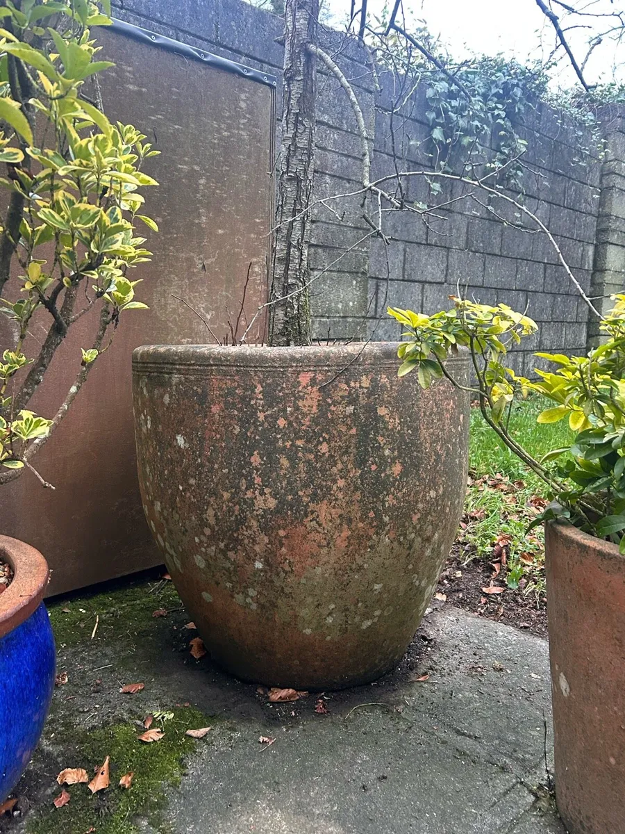 Plant pots - Image 3