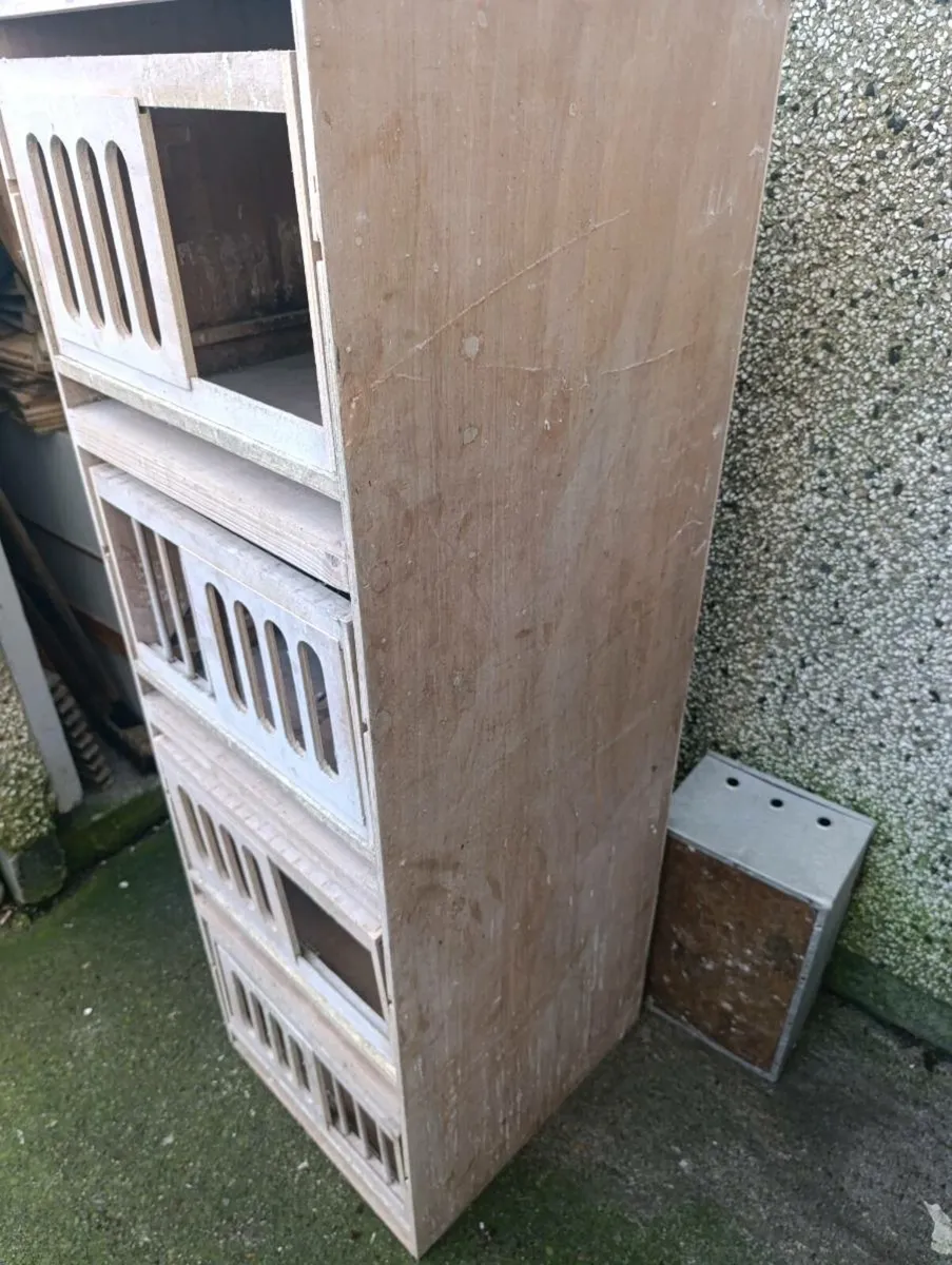 Nest boxes - Image 2