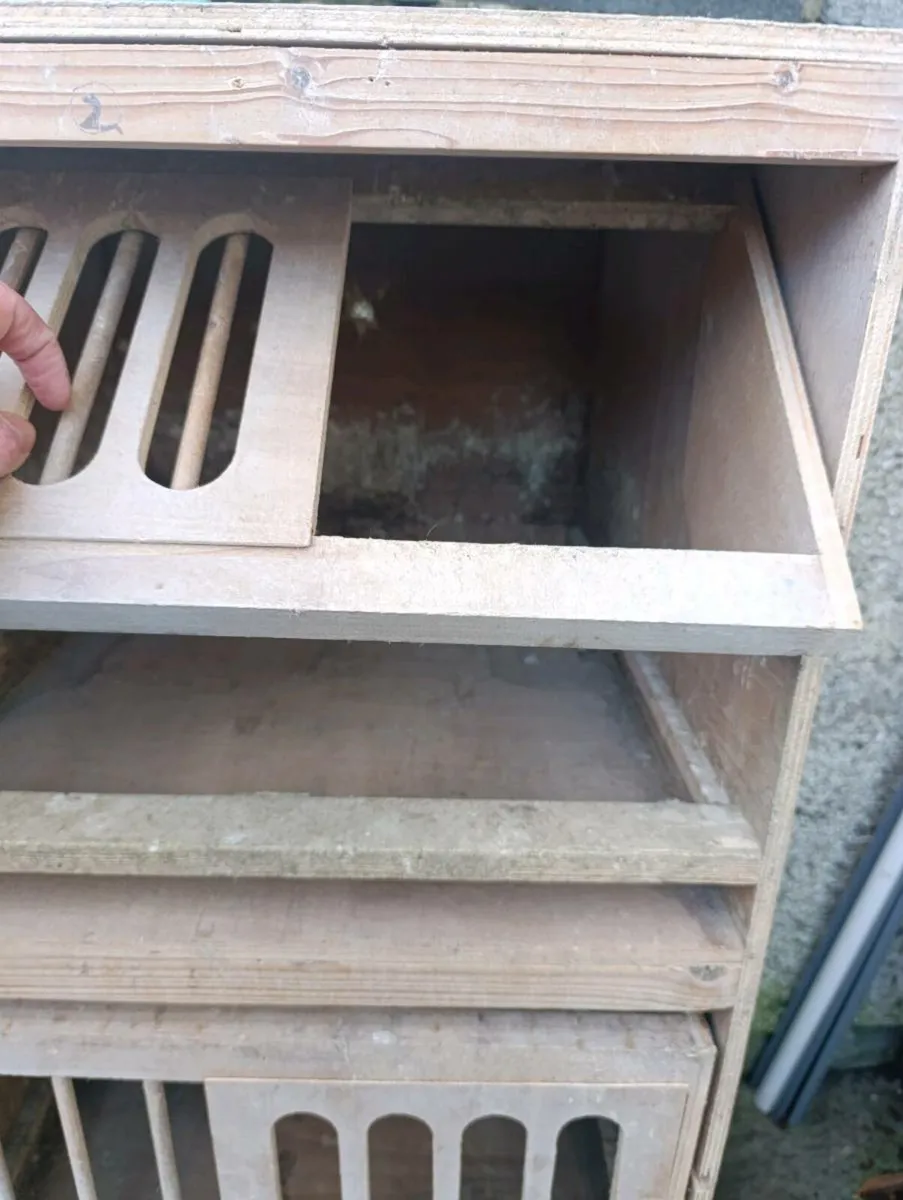 Nest boxes - Image 3