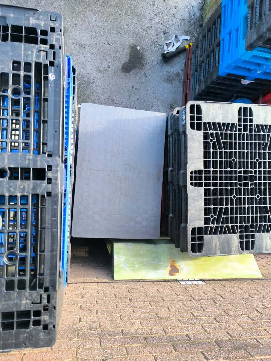 Large amount of plastic pallets - Image 4