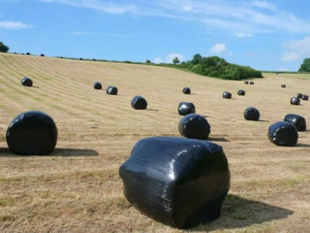 35 Silage bales- Drimoleague Area - Image 1