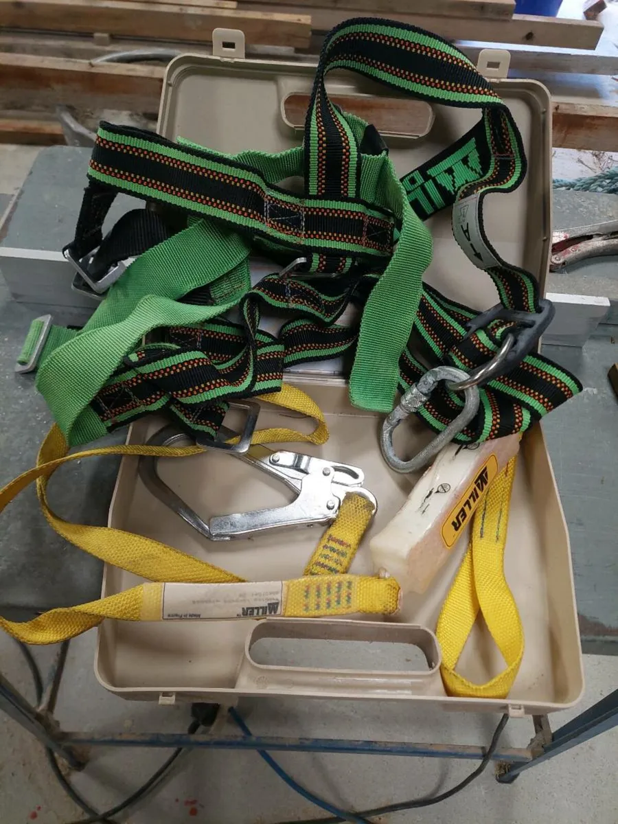 Safety harness - Image 2
