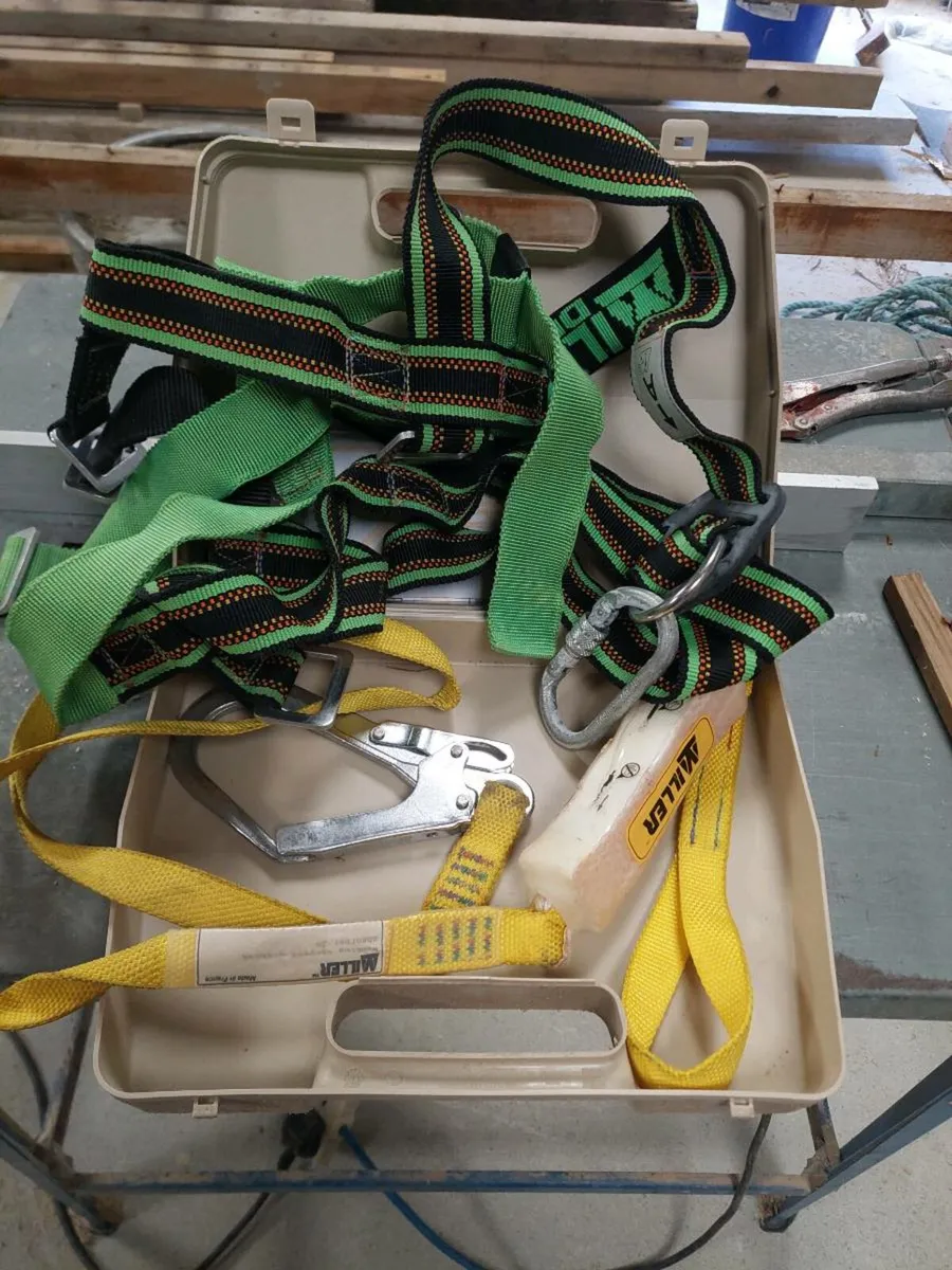 Safety harness - Image 3