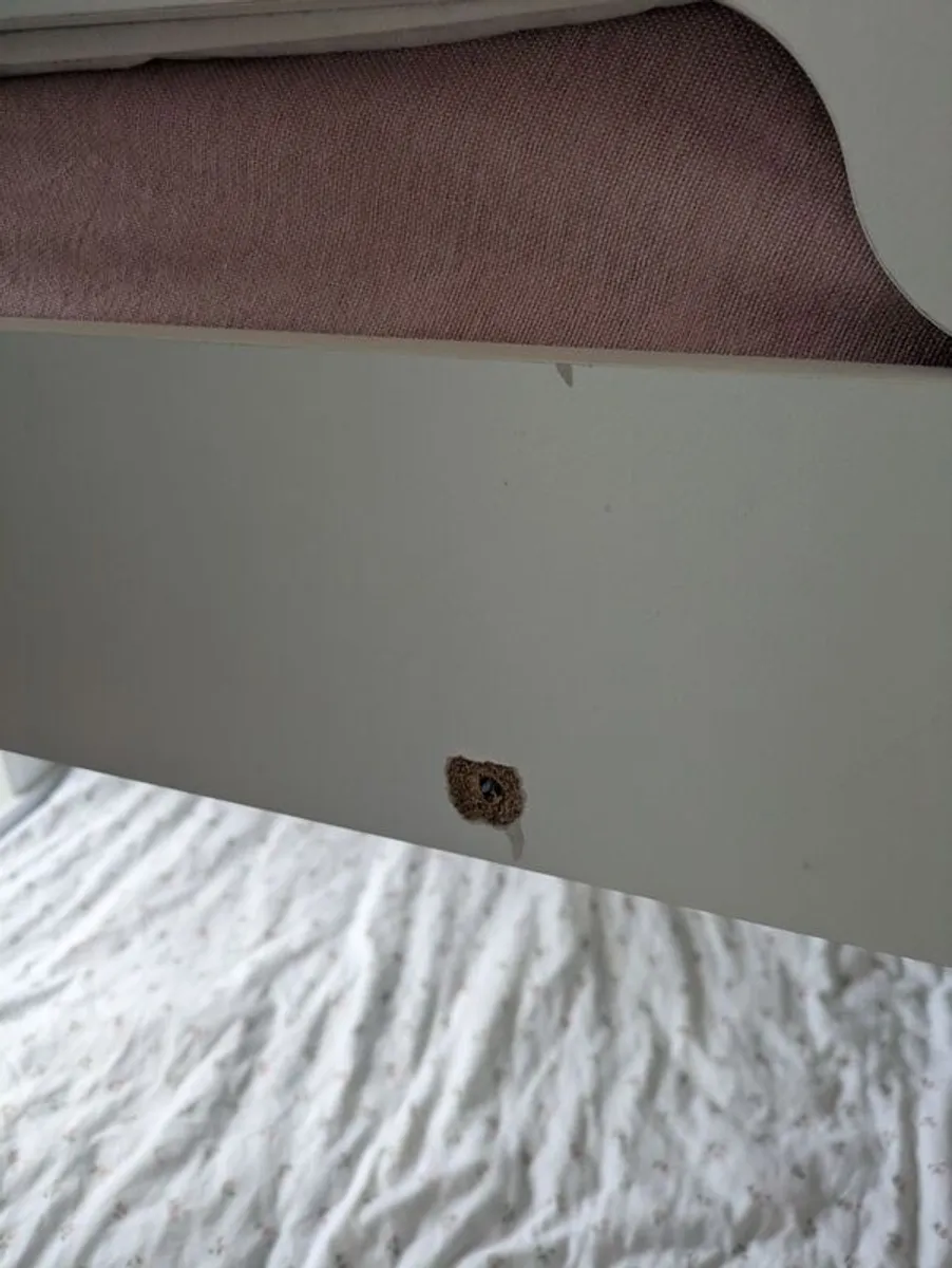 Wooden bunk bed - Image 4