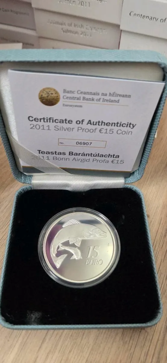 Silver Coins - Image 2