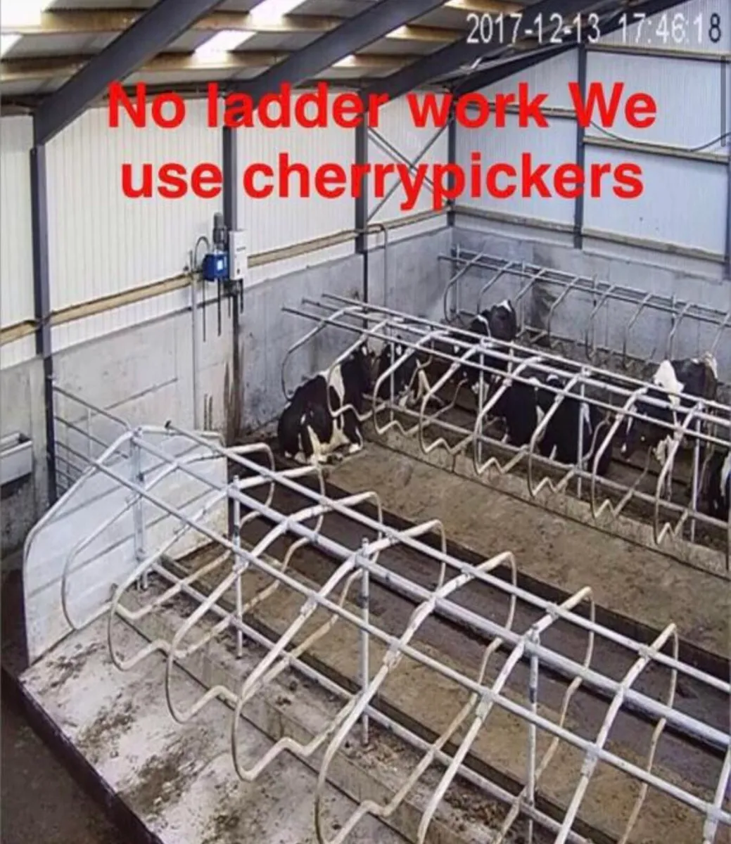 Cow Calving Camera’s - Image 2