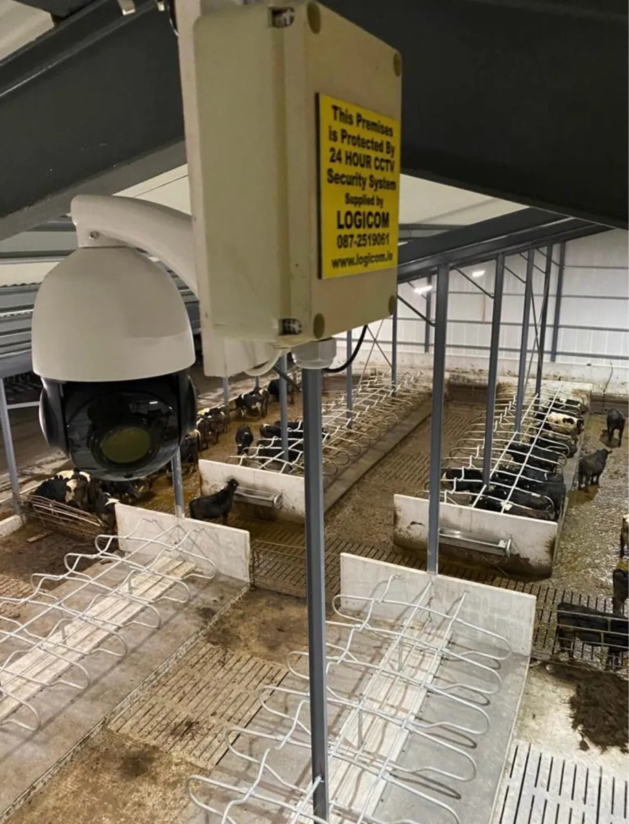 Cow Calving Camera’s - Image 3