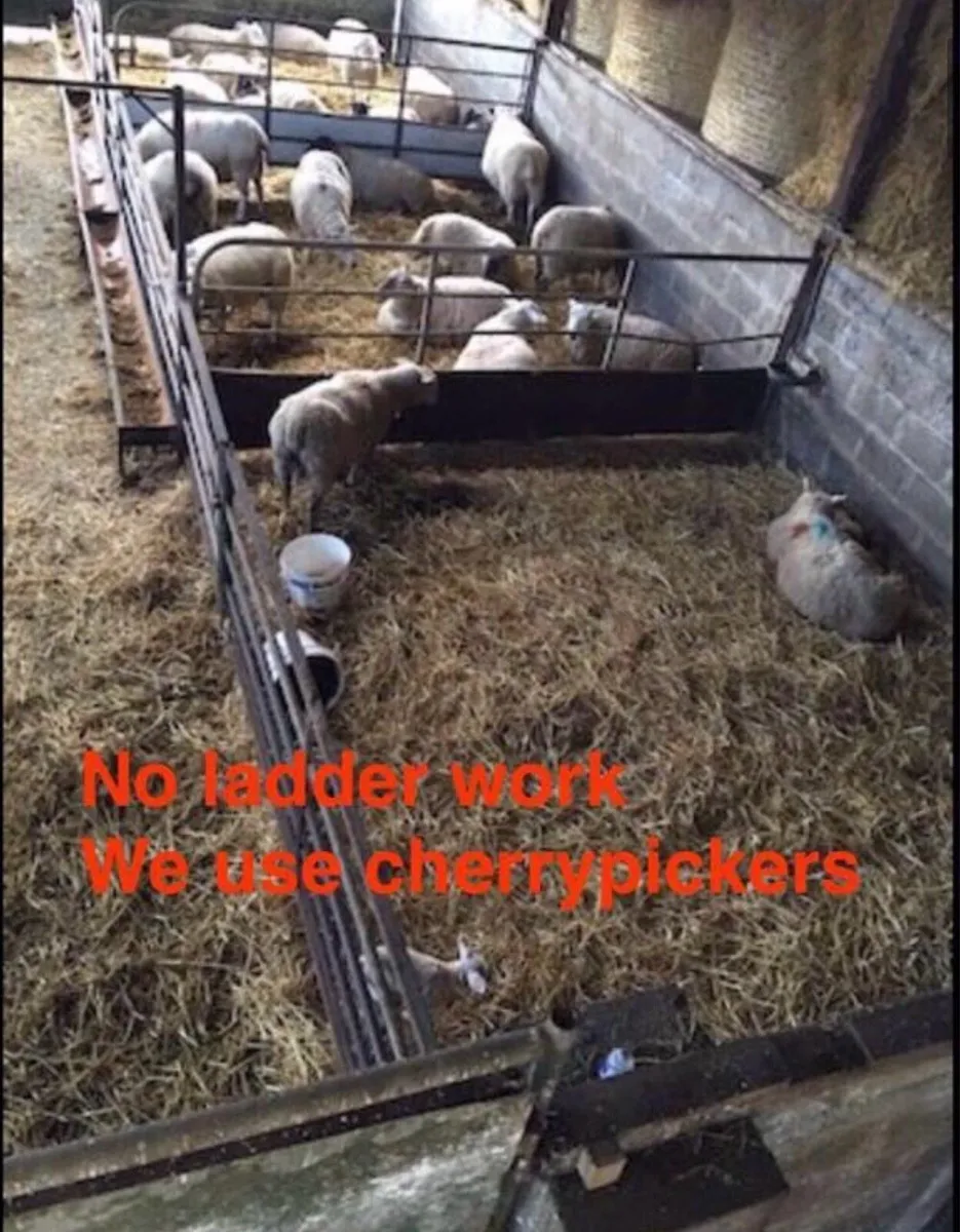 Cow Calving Camera’s - Image 4