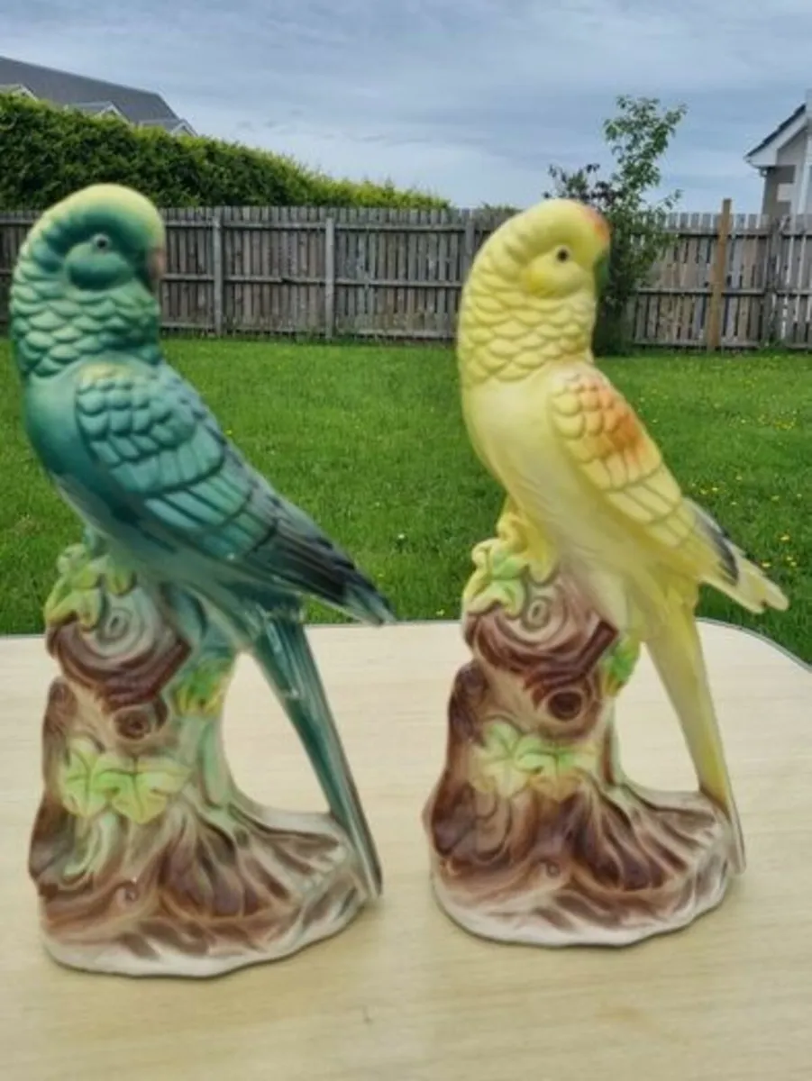 Pair of Capodimonte parrots - Image 1