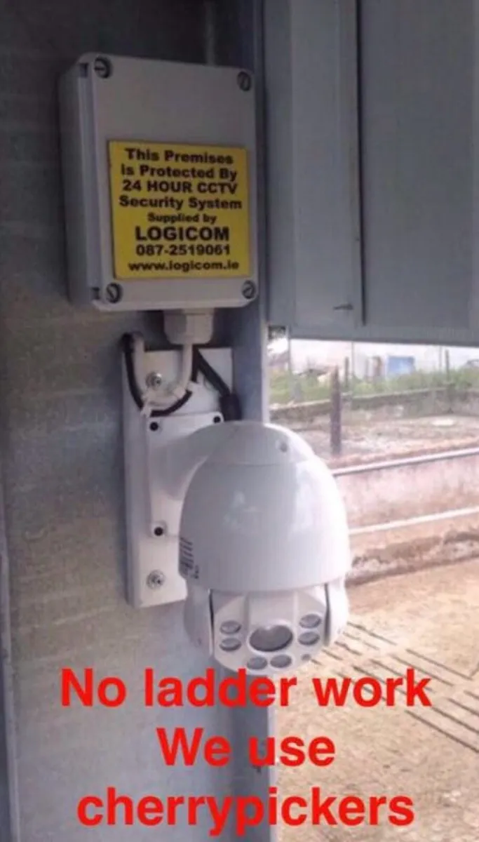 Cow Calving Camera - Image 2