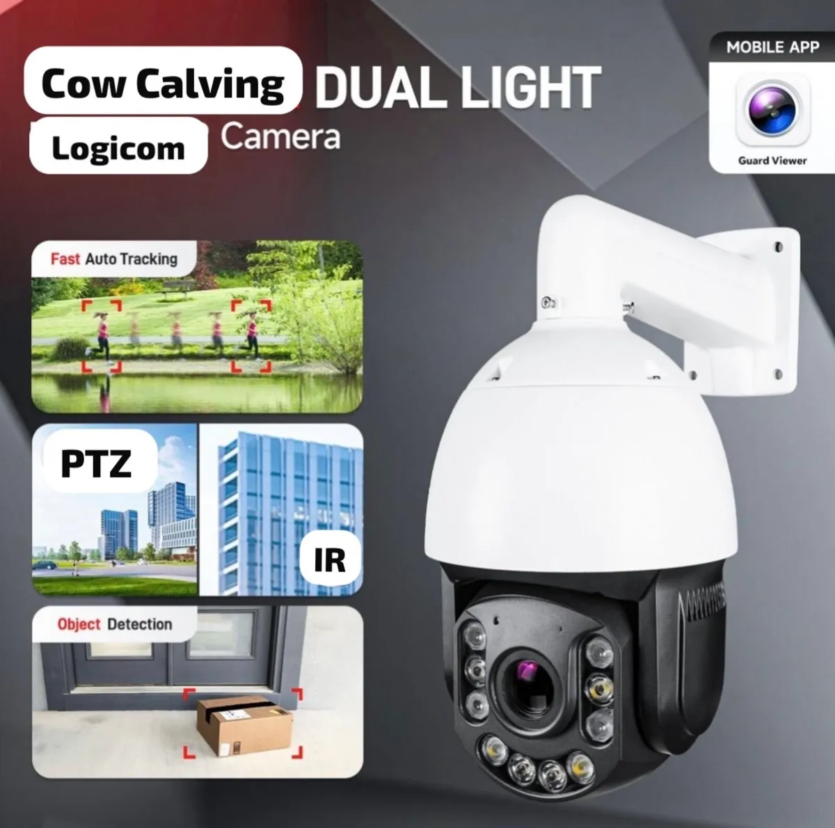 Cow Calving Cameras - Image 1