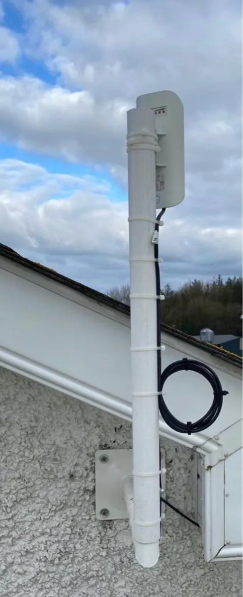 Cow Calving Cameras - Image 3