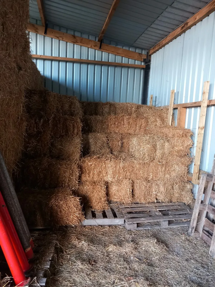 Hay, Straw, Silage for sale - Image 3