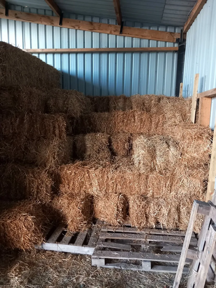 Hay, Straw, Silage for sale - Image 4