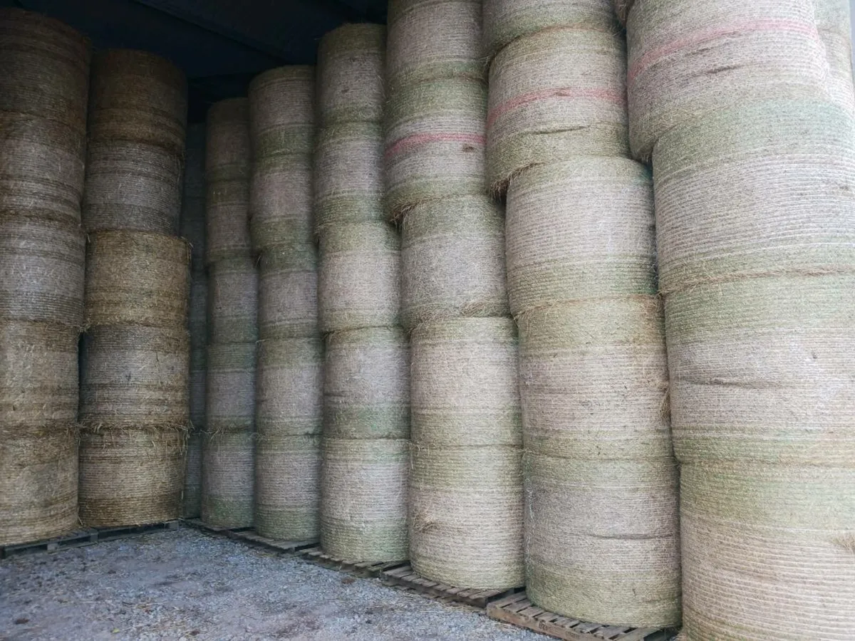 Hay, Straw, Silage for sale - Image 2