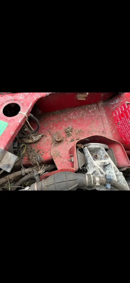 Peugeot 205 Diesel - Image 4