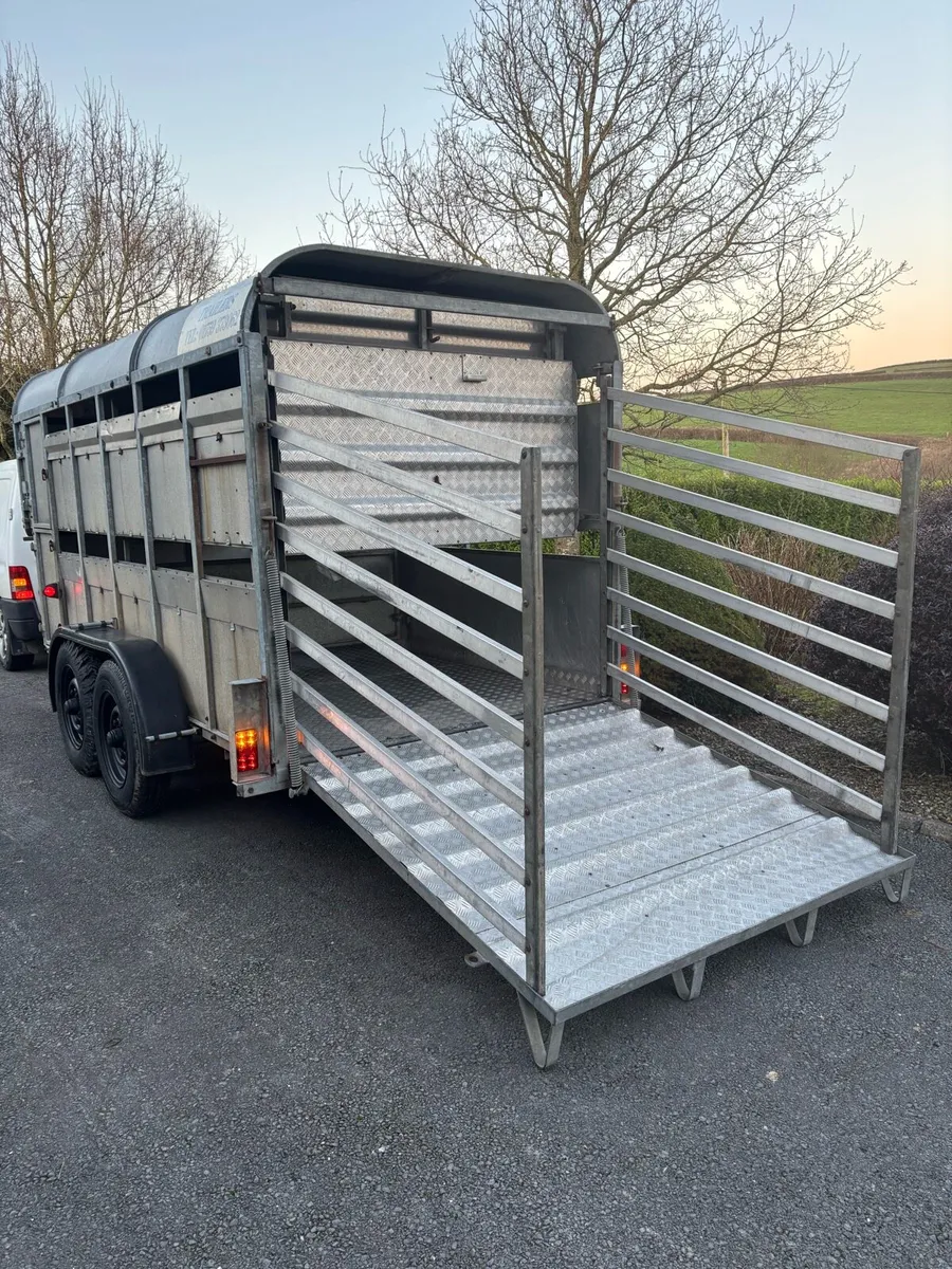 8x4”6 Sms cattle box - Image 2