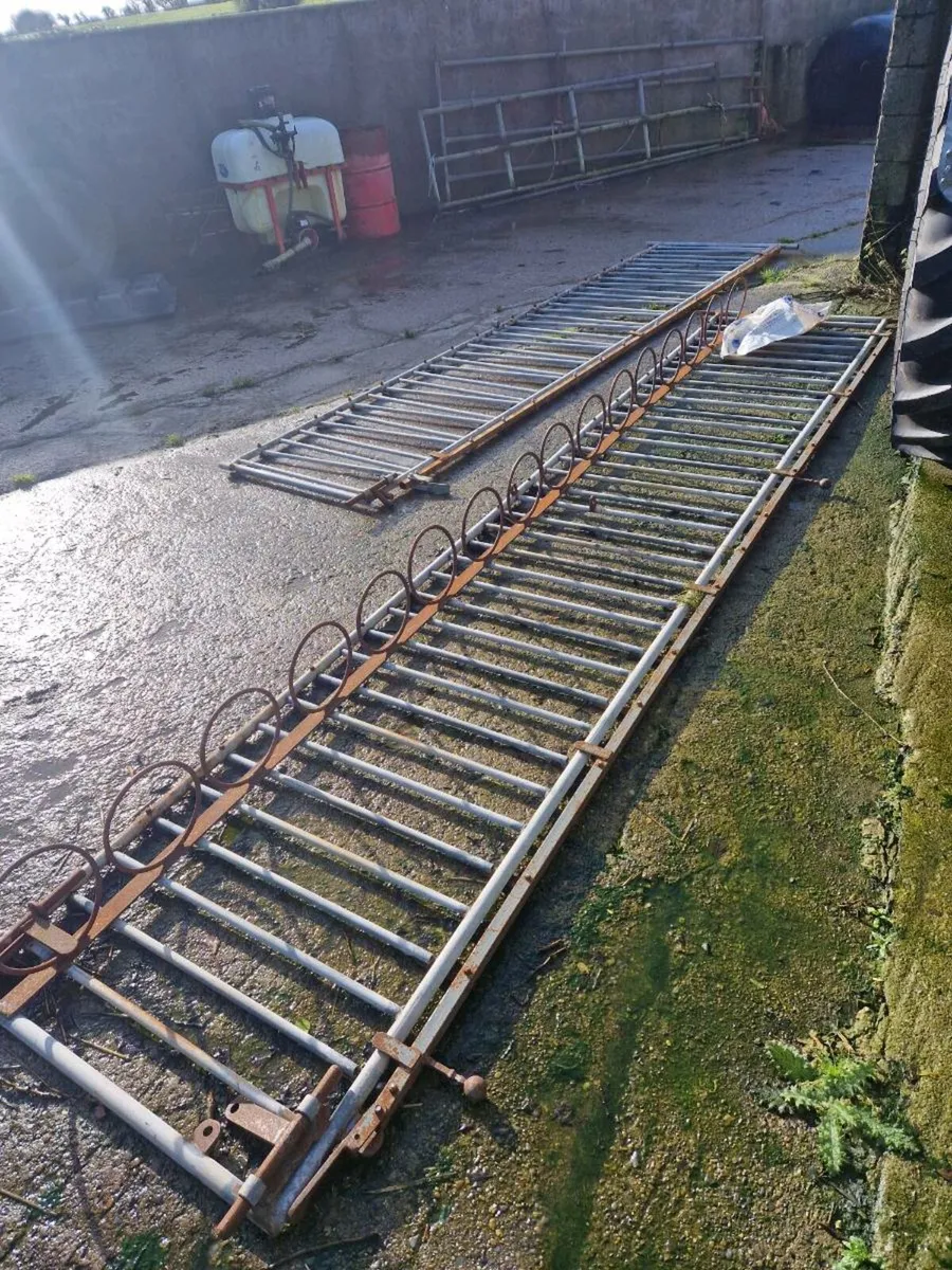 Calf headlocking gates - Image 1