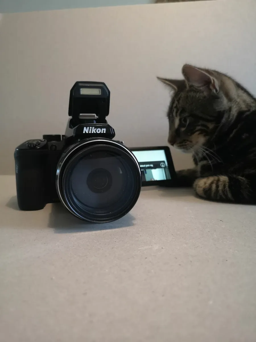 Nikon P950 - Good Condition - Image 2