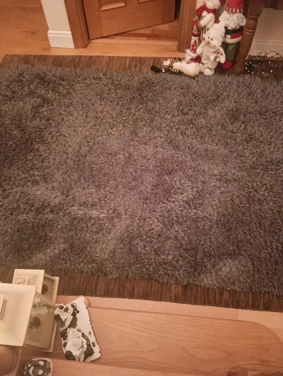 Large new rug 230/160 70 Euro gray - Image 2