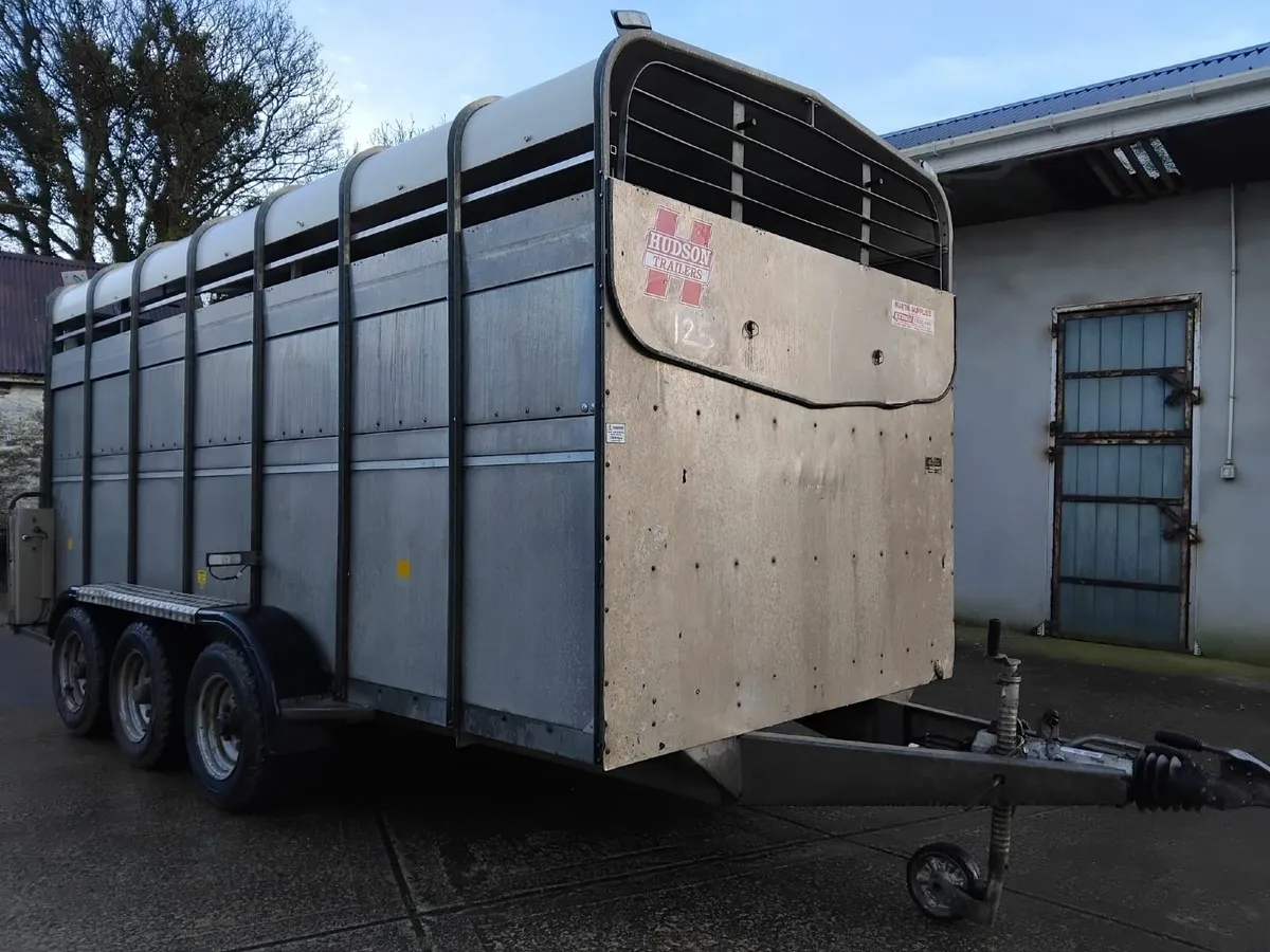 Hudson tri axle cattle trailer - Image 2