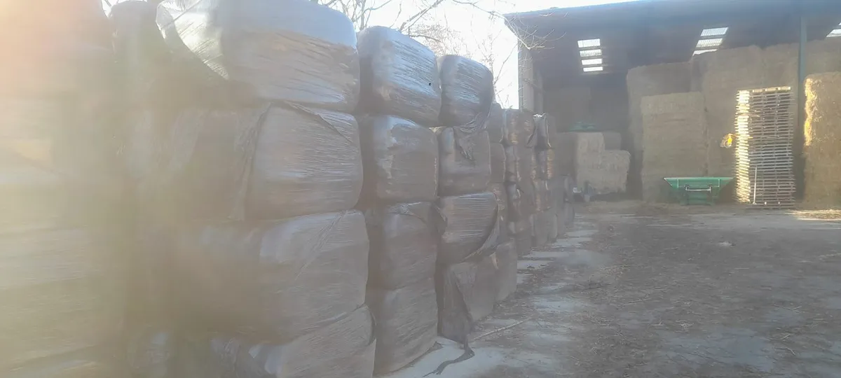 Hay, haylage and straw. - Image 1