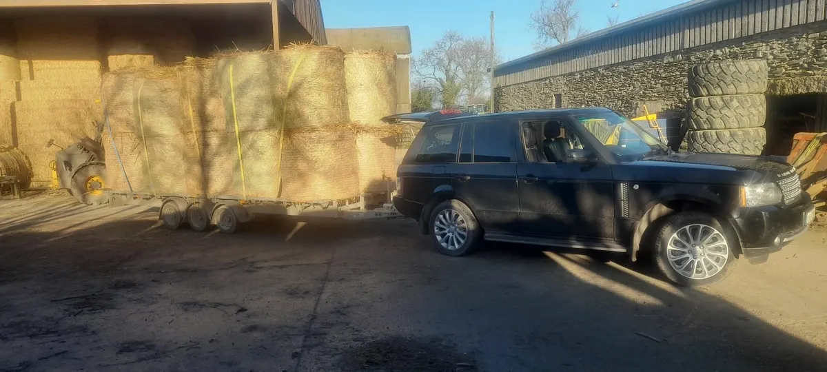 Hay, haylage and straw. - Image 2