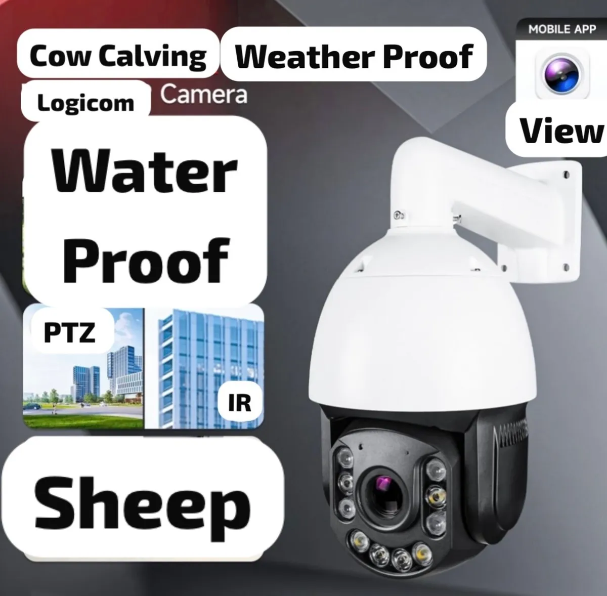 Cow Calving Camera’s - Image 1