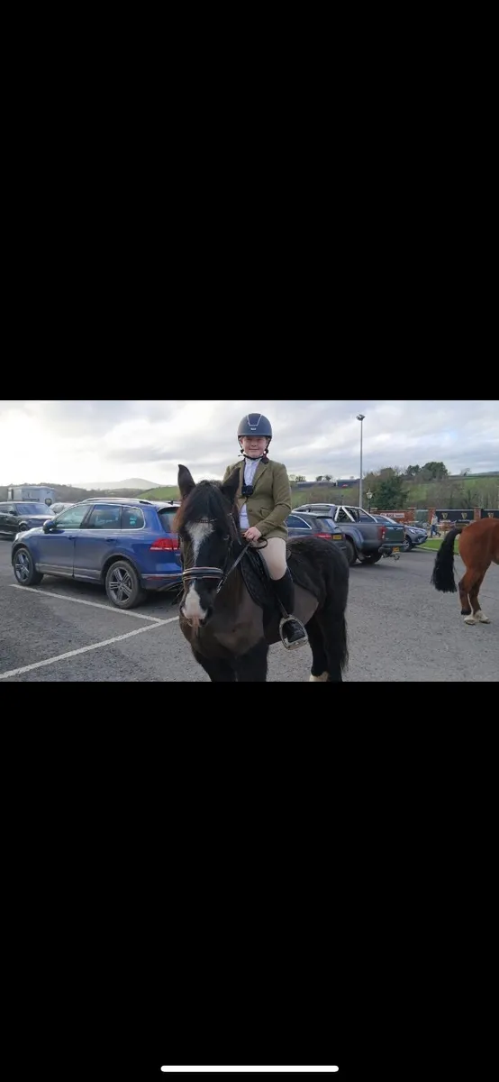 13.2hh Pony - Image 1