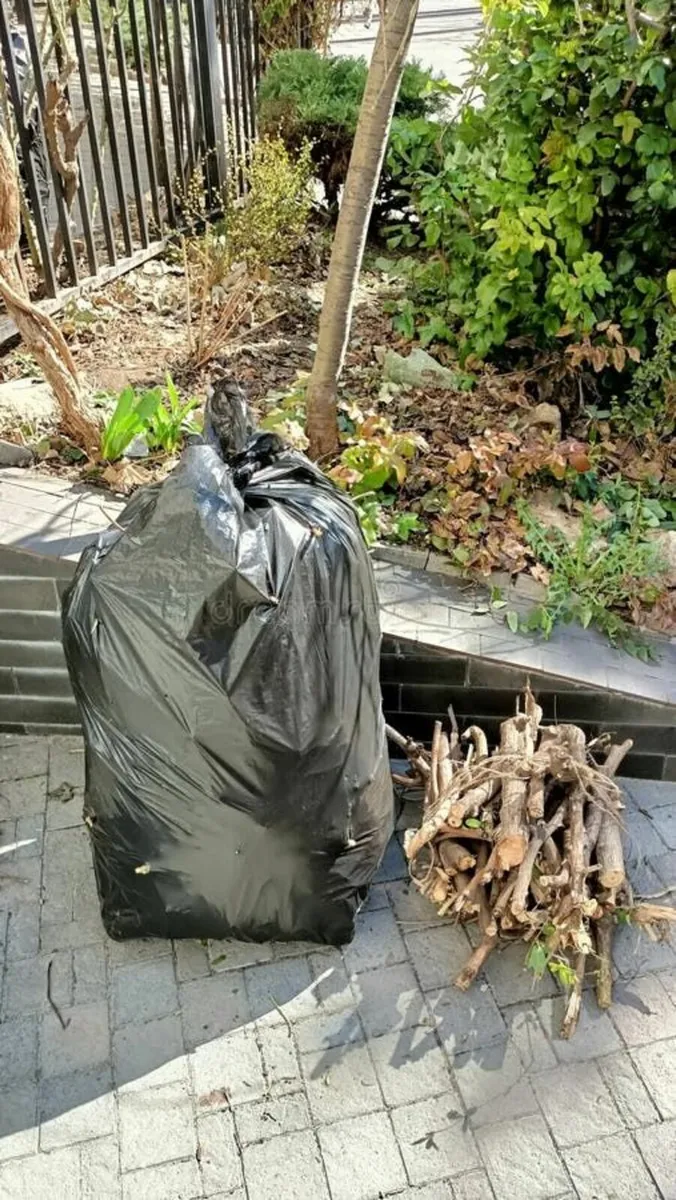 Rubbish removal - Image 4
