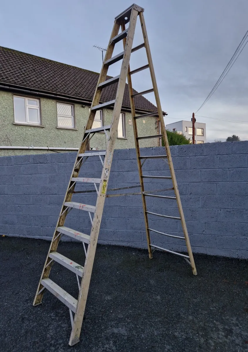 Fibreglass ladder 12 step