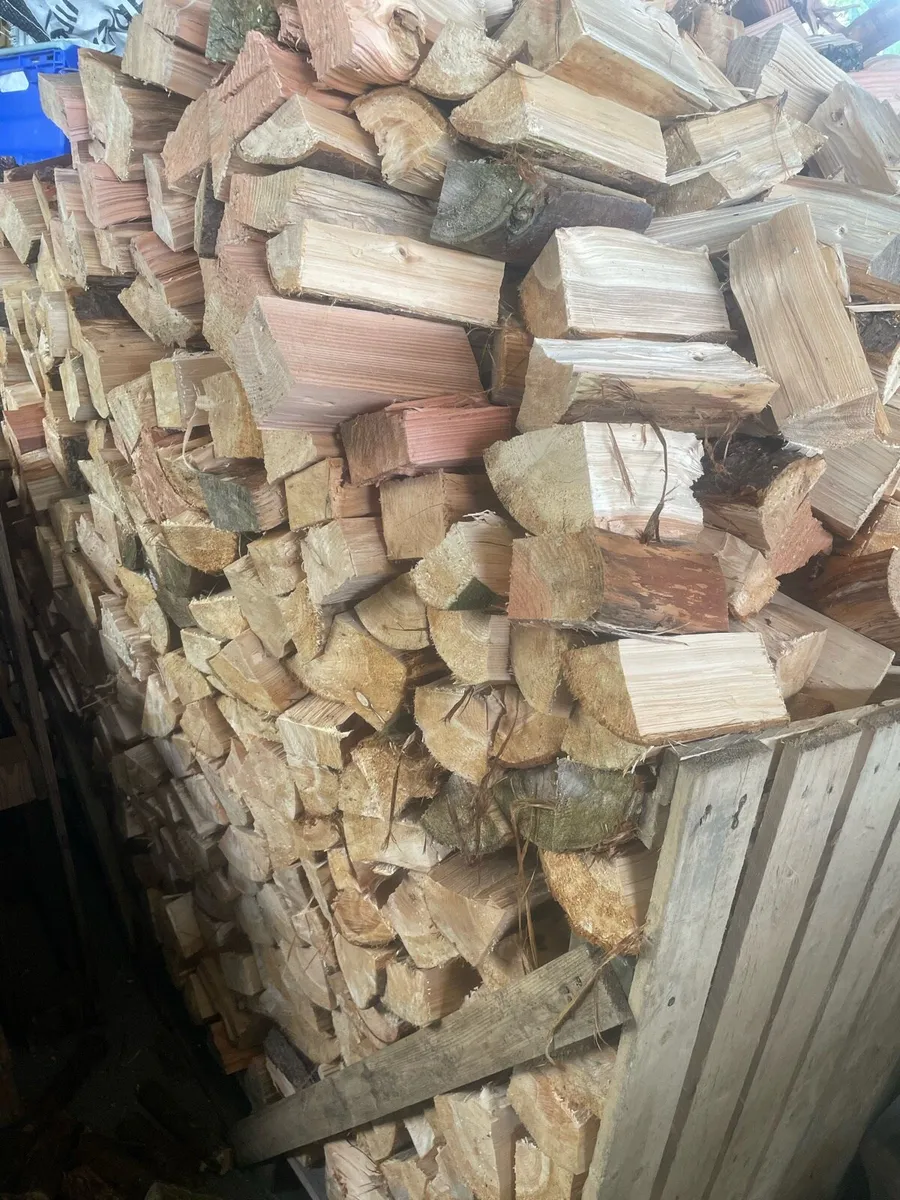 Firewood - Image 3