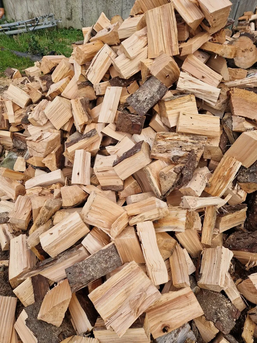 Timber for sale - Image 4