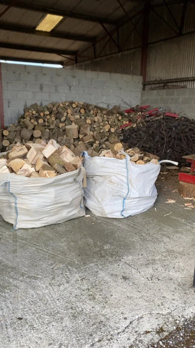 Fire wood - Image 1