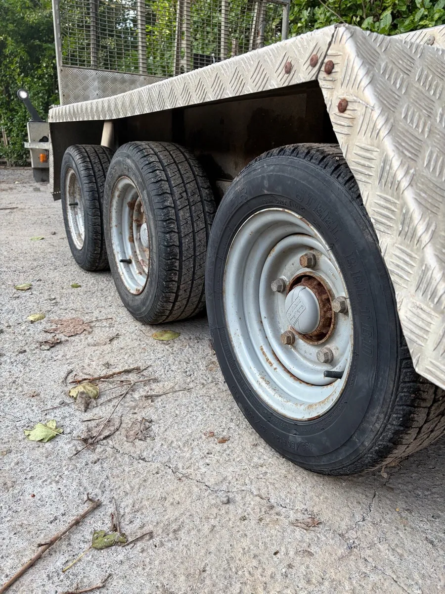 2018 14x6 Tri Axle Plant Trailer - Image 4