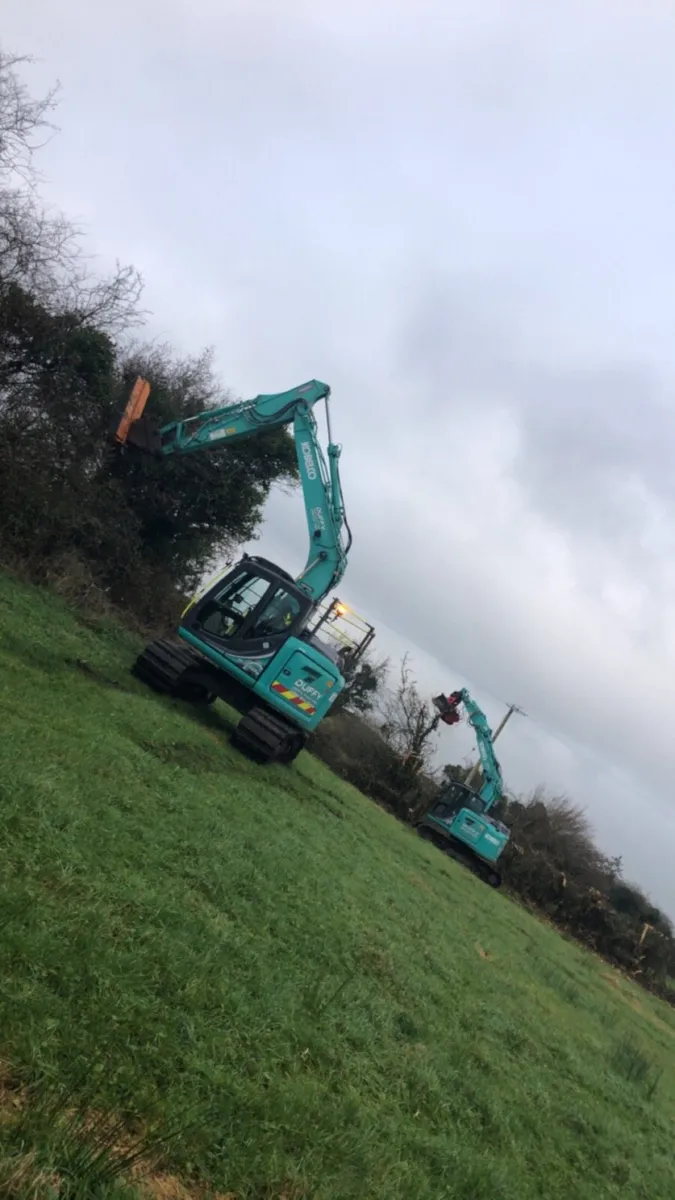 **Tree felling Dangerous tree removal** - Image 1